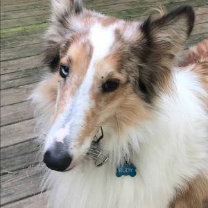 Meet your Posher, Bethany